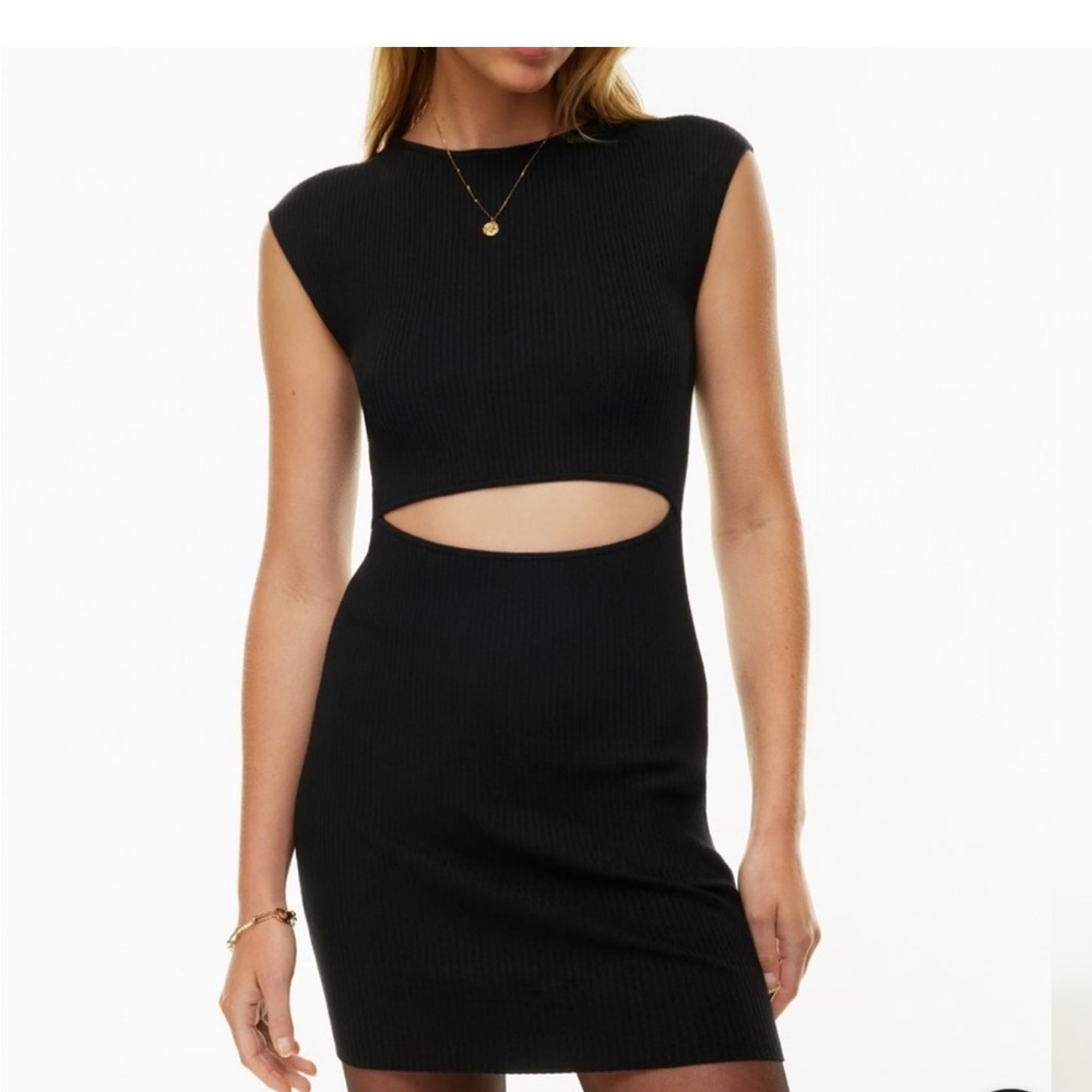 Aritzia Wildfred Cut Out knit Dress